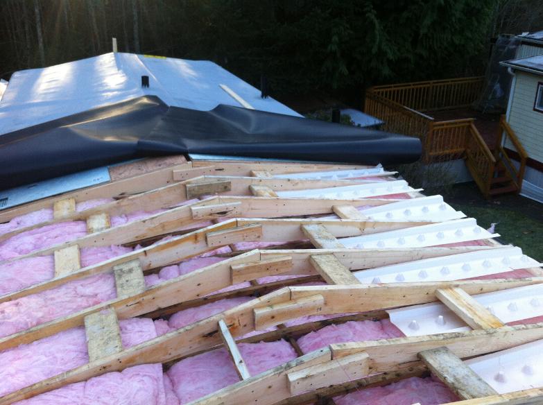 Flat Roofs Victoria Duncan